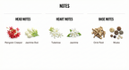 BLOOM - 50ML