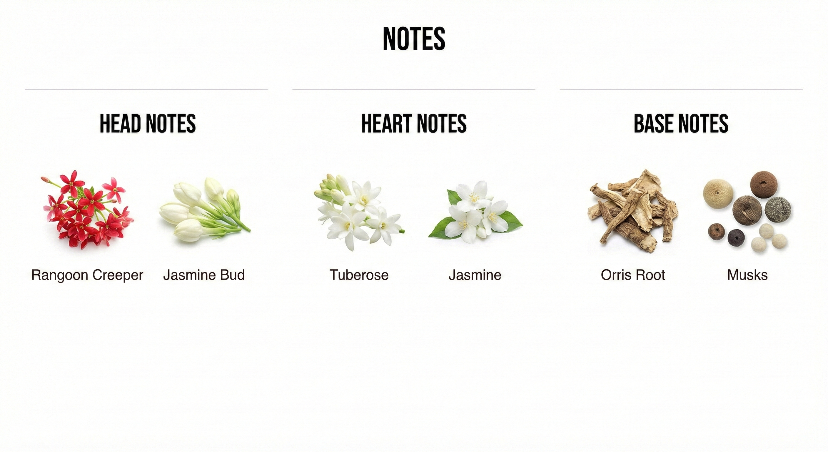 BLOOM - 50ML